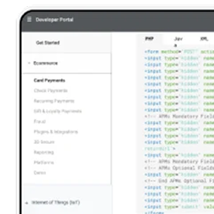 Écran du portail développeur affichant le menu de documentation API et des exemples de code.